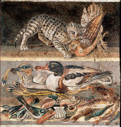 Arte romana: gato comendo uma perdiz, e patos selvagens Primeira metade do 1º AC) Roma, Museo Nazionale Romano de Roman