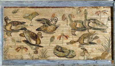 Arte romana: pato, rã e lírios de água num lago. Mosaico da vila da fauna em Pompeia. Século I. Dim. 132x164 cm. Museo Archeologico Nazionale, Nápoles. de Roman