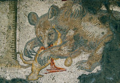 Imagem desconhecida de Roman