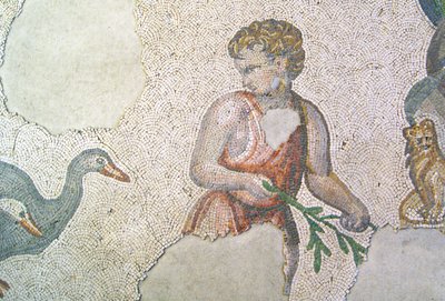 Imagem desconhecida de Roman
