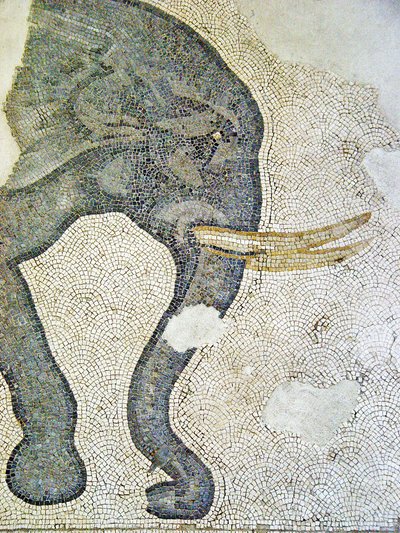 Imagem desconhecida de Roman