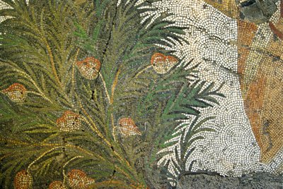 Imagem desconhecida de Roman