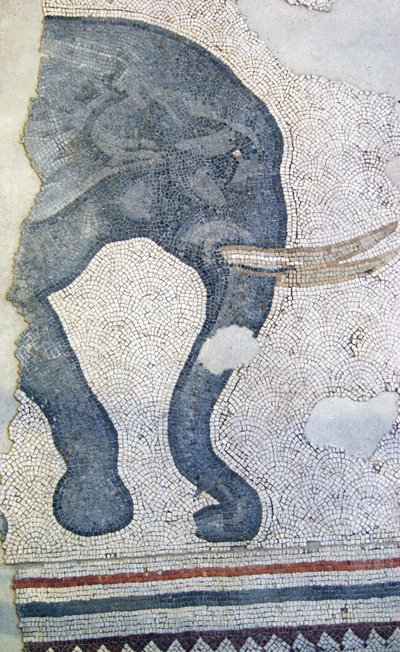 Imagem desconhecida de Roman