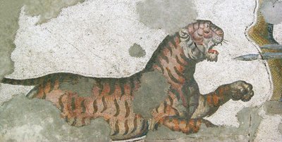 Imagem desconhecida de Roman