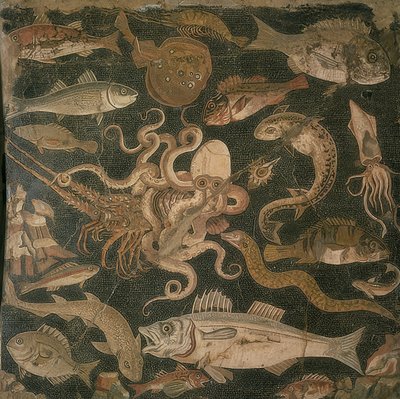 Animais aquáticos, luta entre um polvo e uma lagosta de Roman