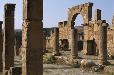 Cardo e entrada do Mercado Cosinius, Alto Período Imperial (27 aC-395 dC) de Roman Imperial Period