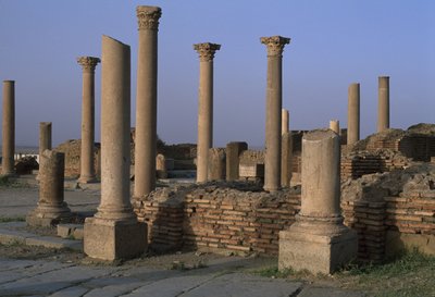 Vista da Biblioteca, c.100 dC, Alto Período Imperial (27 aC-395 dC) de Roman Imperial Period