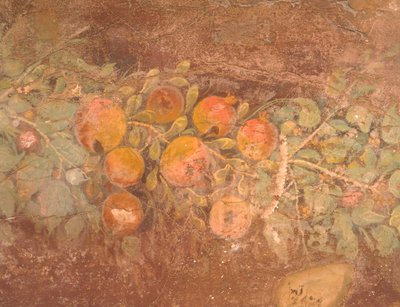 Pormenor do fresco com decoração de flores e frutos da Villa Romana de Boscoreale (Nápoles), Civilização Romana de Roman Roman
