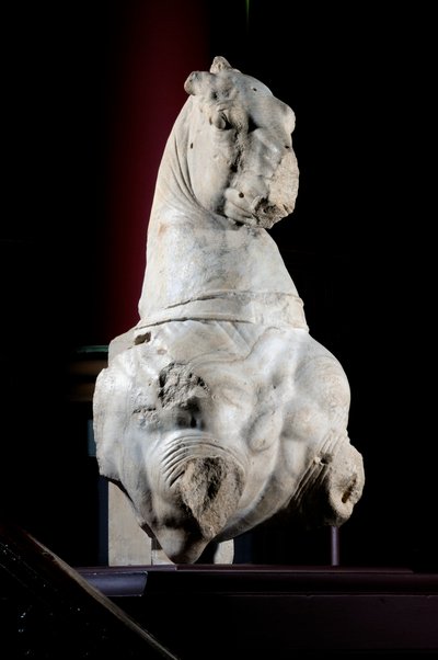 Parte frontal de um cavalo (mármore) (ver também 371182 & 371183) de Roman Roman