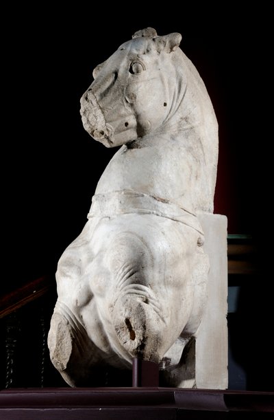 Parte frontal de um cavalo (mármore) (ver também 371182 & 371184) de Roman Roman