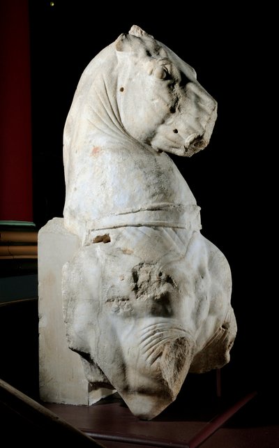 Parte frontal de um cavalo (mármore) (ver também 371183 & 371184) de Roman Roman