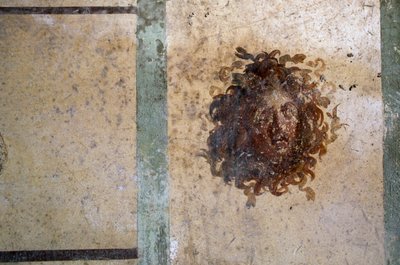Cabeça de górgona, fresco da Casa de Caius Julius Polybius, Pompeia (Lista do Património Mundial da UNESCO de Roman Roman