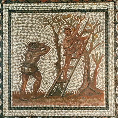 Colheita de azeitonas (mosaico) de Roman Roman