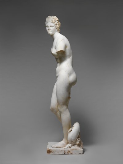 Estátua de Afrodite de Roman Roman