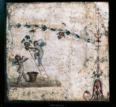 Afresco de terceiro estilo representando a colheita dos Cupidos, da Casa de Marcus Lucretius em Pompeia de Roman Roman