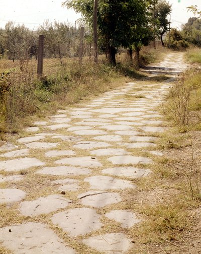 Via Flaminia, Roma. de Roman Roman