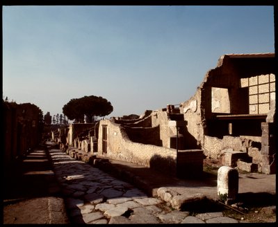 Vista de Decumanus Maximus, século V a.C. - século I d.C. de Roman Roman