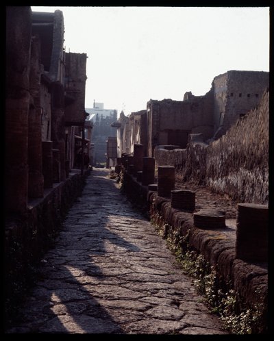Vista de uma rua, século V a.C. - século I d.C. de Roman Roman