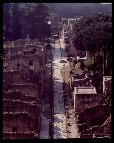 Vista de cardo V, século V a.C. - século I d.C. de Roman Roman