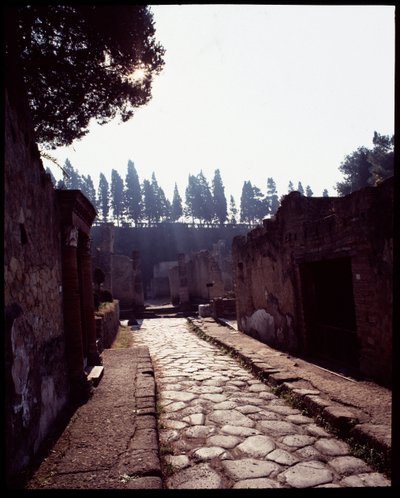 Vista de cardo V, século V a.C. - século I d.C. de Roman Roman