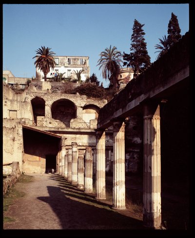 Vista da palestra, século V a.C. - século I d.C. de Roman Roman