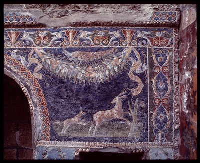 Mosaicos de parede da ninfaeum da casa di Nettuno e Anfitrite, site de Herculaneum, século V a.C.-1 d.C. de Roman Roman