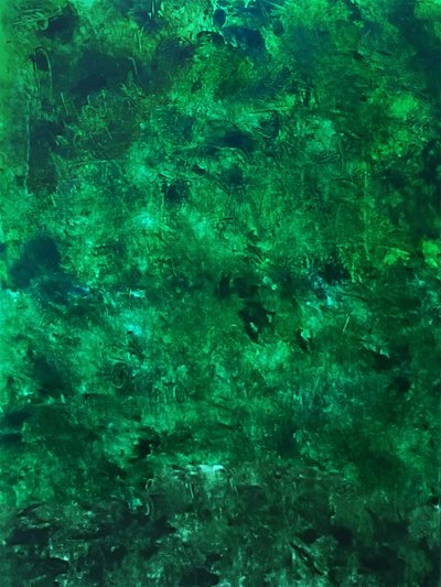 Textura verde exuberante de Ron Halfant