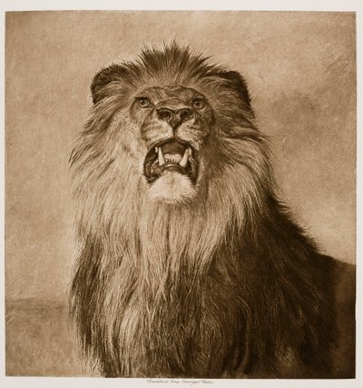 Leão a rugir de Rosa Bonheur