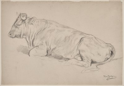 Touro em repouso de Rosa Bonheur