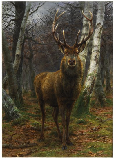 Rei da Floresta, 1878 de Rosa Bonheur
