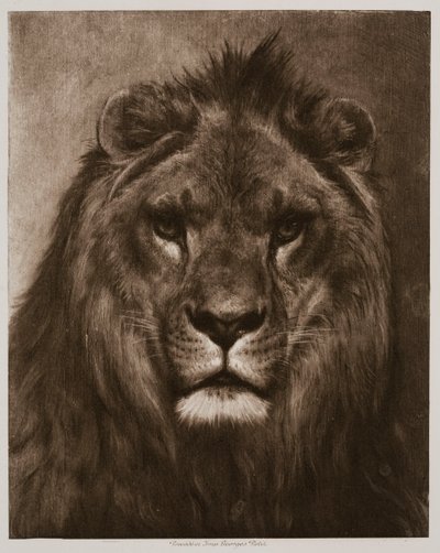 Leão de Rosa Bonheur