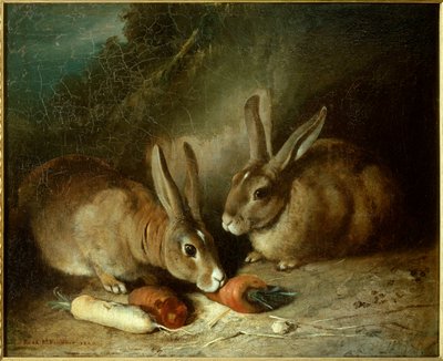 Coelhos. Pintura de Rosa Bonheur (1822-1899) de Rosa Bonheur