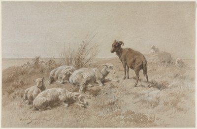 Ovelhas de Rosa Bonheur