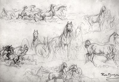Estudo de cavalos de Rosa Bonheur