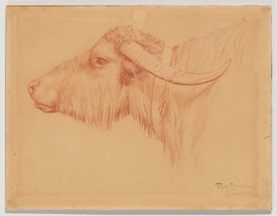 Búfalo-de-água de Rosa Bonheur