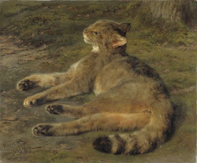 Gato Selvagem, 1850 de Rosa Bonheur