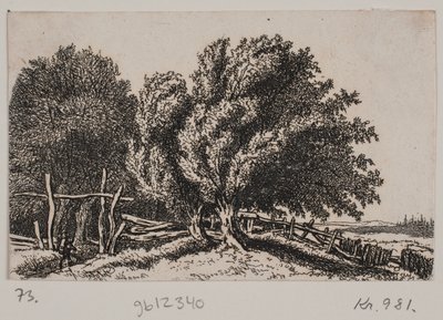 Paisagem de Rosalie Holm