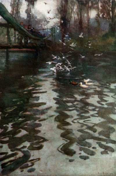 Alimentando as gaivotas da ponte no parque de St James de Rose Maynard Barton