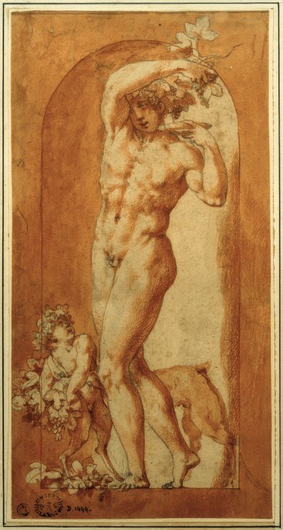 Baco no nicho de Rosso Fiorentino