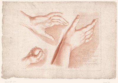 Impressão do título com três mãos
Princípios de desenho da natureza, parte oito (título da série)
VIII Cahier de Principes du Dessin d