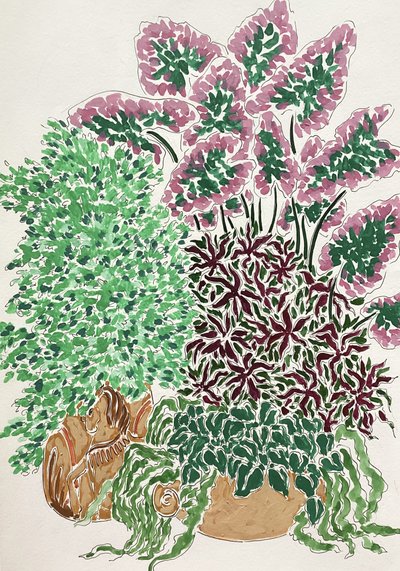 Plantas em vaso cheias de vida de Rushati Chowdhury