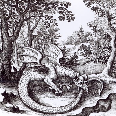 Um Dragão na Floresta, de &39;Musaeum Hermeticum Reformatum&39; de Basil Valentine, 1678 de Russian School