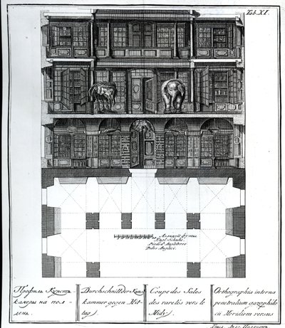 Uma vista em corte do Salão das Raridades em direção ao Sul, ilustração em Câmaras da Academia Imperial de Ciências de São Petersburgo, Biblioteca e Galeria mostrando Planos, Fachadas e Perfis por Johann de Russian School