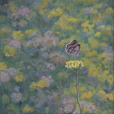 Brown Argus (depois da foto de Sara Crow) de Ruth Addinall
