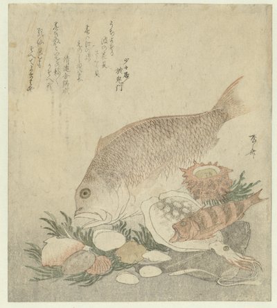 Peixes e conchas de Ryuryukyo Shinsai