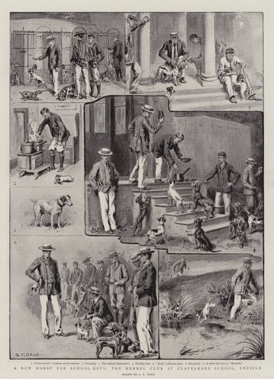 Um novo passatempo para meninos da escola, o Kennel Club na Clayesmore School, Enfield de S.T. Dadd
