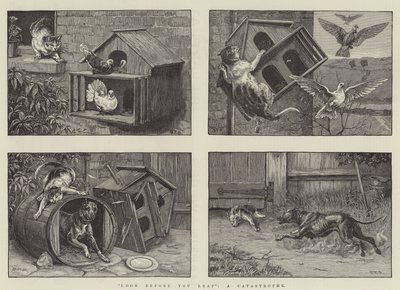Olhe antes de você pular, uma catástrofe de S.T. Dadd