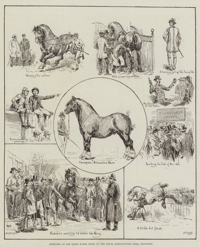 Esboços no Shire Horse Show, no Royal Agricultural Hall, em Islington de S.T. Dadd