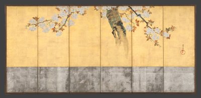 Cerejeiras em flor de Sakai Hoitsu