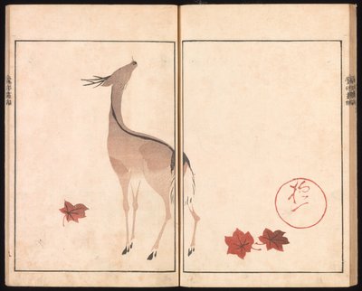 Álbum de imagens Ōson (Hōitsu) (Ōson gafu) de Sakai Hoitsu